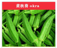 1449535080251047.jpg 33.jpg